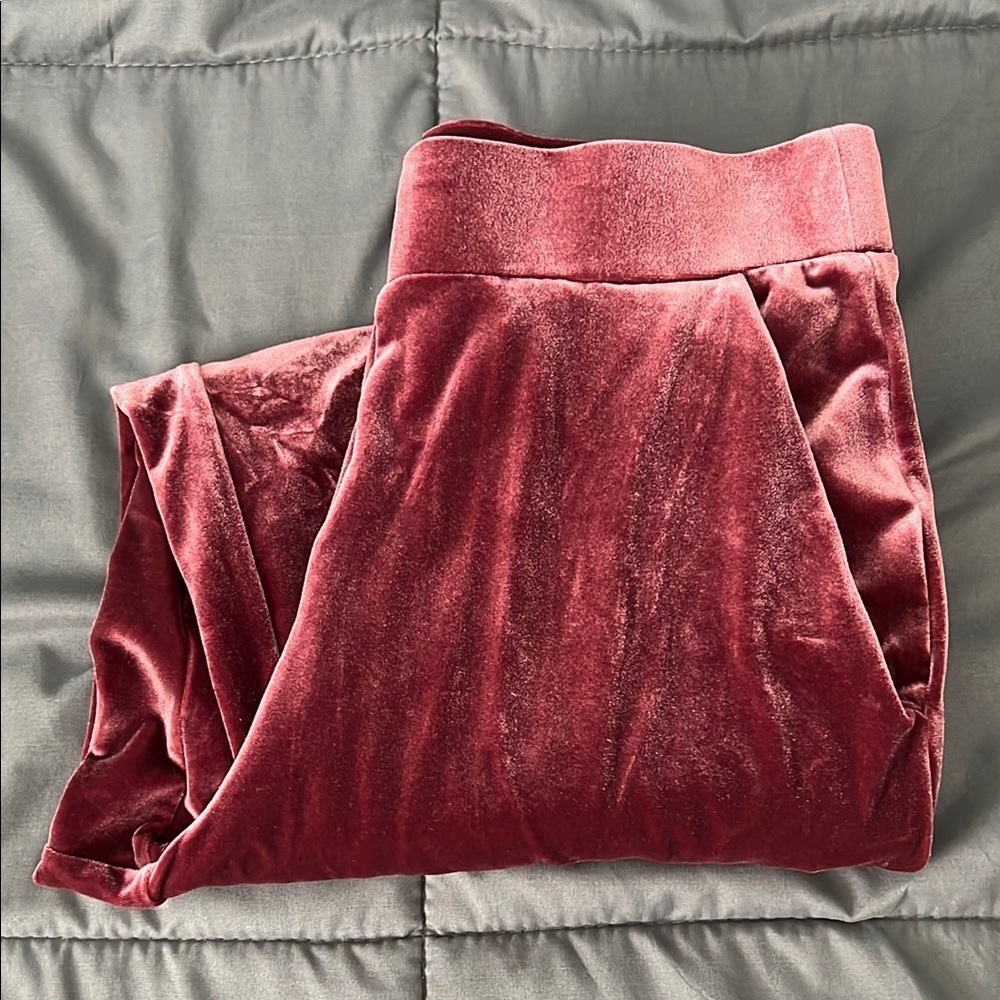 Loft Velvet Pull On Pant Slim Pant Size 6